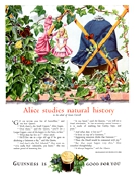 0485 Guinness is good for you