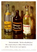 2804 Schweppes Ginger Beer