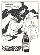 4811 Schweppes Ginger Ale